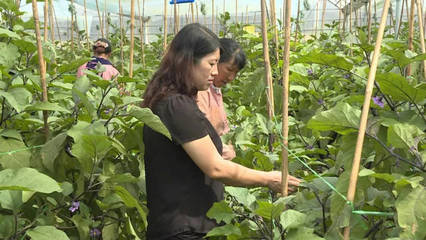 弥渡女性创业者福音:创业难 扶持来帮忙