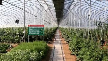 废弃物变“聚宝盆”!广饶循环经济发展渐入佳境!