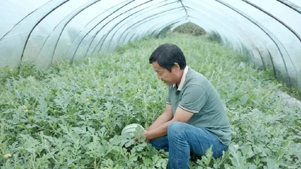 金融"活水"灌溉"三农"沃土