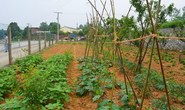 中国家庭农场_中国家庭农场素材大全_摄图网