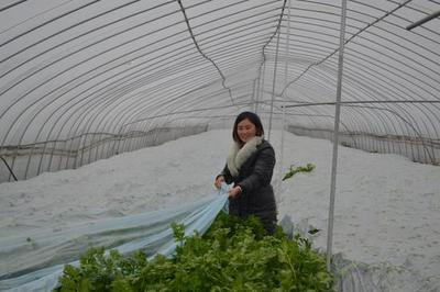 商丘市民权县优秀致富带头人--李玉姣