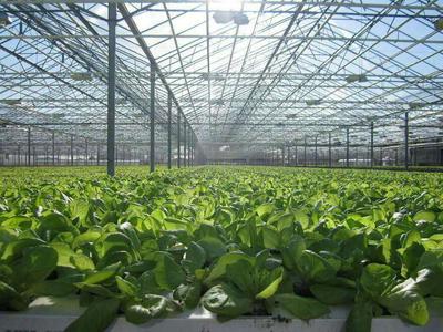 绿蜻蜓生态农场