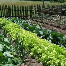 有机农业家庭农场