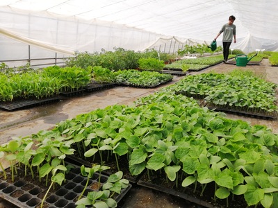 一亩三分田,圆你家庭农场主的梦想!