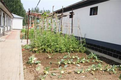 周末京郊亲子游好去处,你想要的这里全都有!