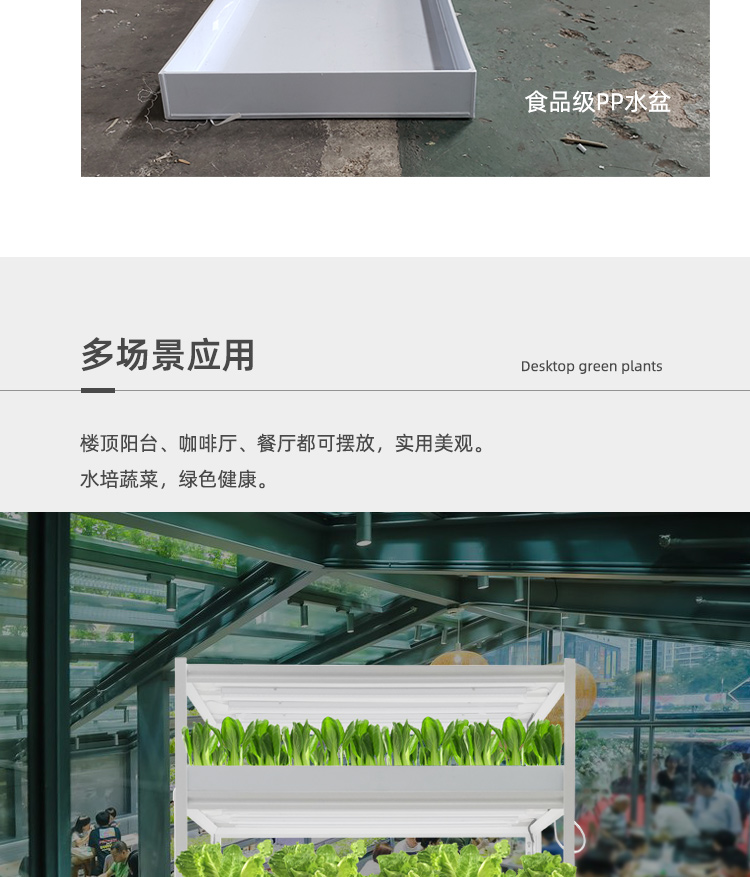 无土栽培设备大立体种植架农场阳台种菜蔬菜水培设备家庭植物工厂
