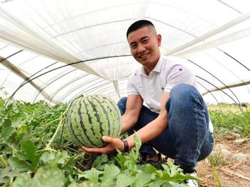 江苏宿迁 瓜果飘香 谷满粮仓 振兴路上致富忙