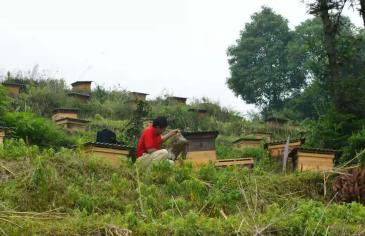 湘乡市牛角冲生态家庭农场系列农产品,入选央视国货优品栏目