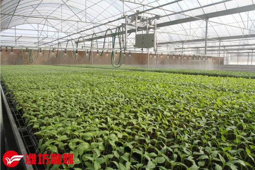 攻坚突破上高峰 寿光市奋力争当新时代县域高质量发展排头兵