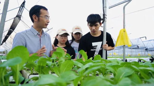 一个山村孩子会有怎样的未来