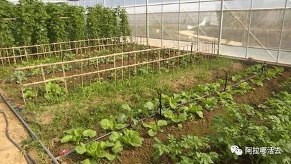 秋游ing 这个秋天和农场来次亲密接触吧!