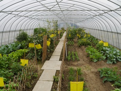 一亩三分田,圆你家庭农场主的梦想!