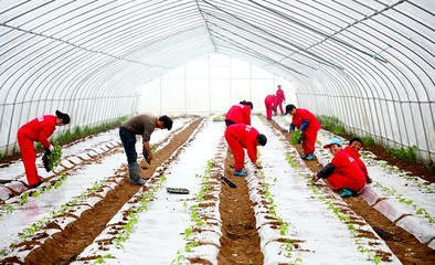 真招增福祉 实措暖民心