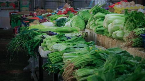 夏天这6种蔬菜不建议大家吃,没营养不好吃,菜贩子自己都不吃