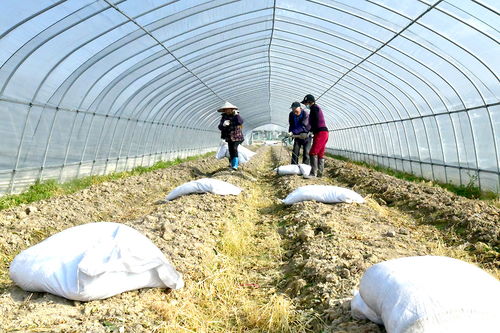 惠农政策到田头