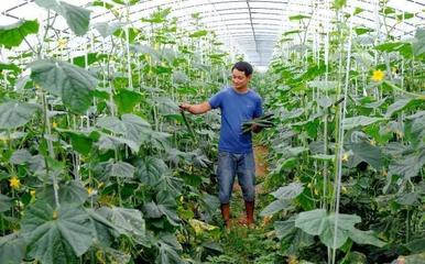 洪雅中保万亩生态农场瓜果熟了,丰收时节美如画