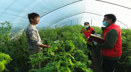 安徽先锋手机报(总第754期)