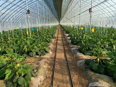 4条东营春季乡村旅游和休闲农业精品旅游线路,等你来打卡