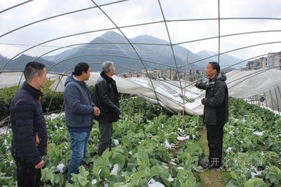 农业专家奔田头指导生产自救