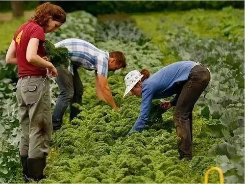 她毕业于复旦大学,却跑到德国干农业,认为赚钱不是第一位