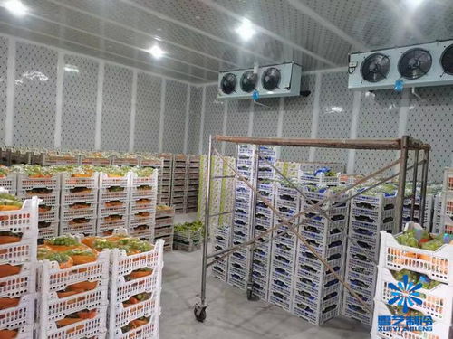 农村乡镇发展冷库项目赚钱吗 为什么合作社建冷库