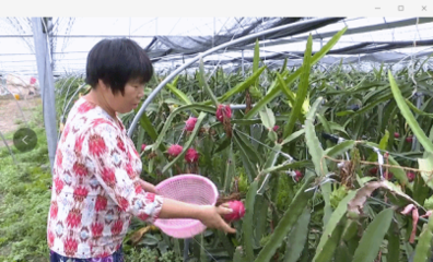 全景盐城 | 走向我们的小康生活(三)