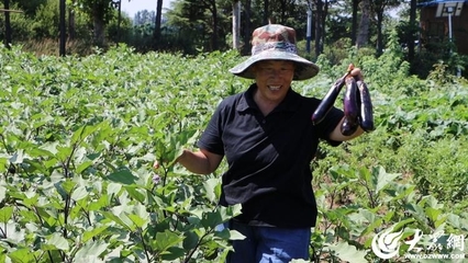 粮满仓好丰光 | 新农人:向阳花田里“种”出好光景