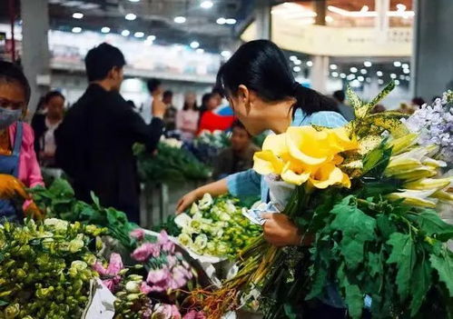 昆明呈贡推进 1 2 3 4 工程,走出乡村振兴特色路 农业观察