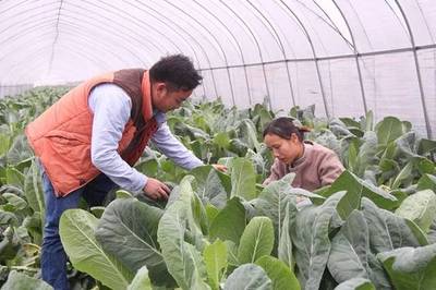 庐江大学生夫妻回乡创业,演绎“你耕田我浇水”的甜蜜故事