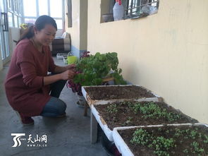 巴州首批太阳能暖房投入使用