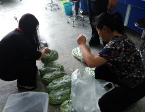 县农委完成省级农产品风险抽样工作