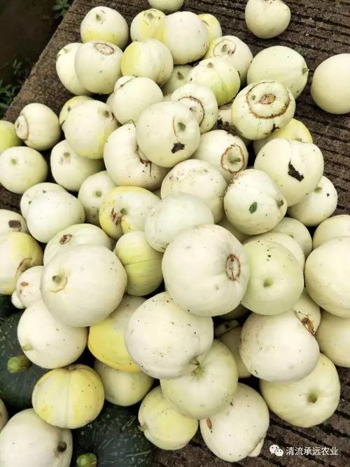 400万元农场含泪100万元转让,当年可以盈利