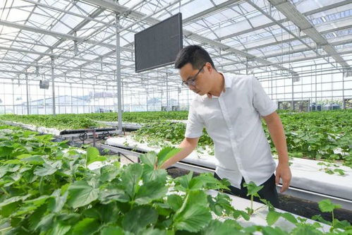 慈溪青创农场做法入选宁波团市委典型发言,向全省介绍经验