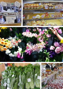 老公,记住 以后我是奢侈品 九州日本自由行听我的