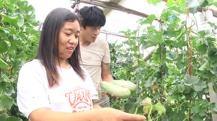 从“白衣天使”到新型职业农民的华丽转身