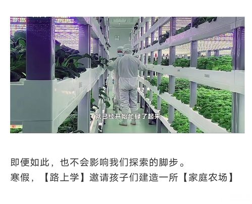 孩子们打造自己的 家庭智慧农场 ,家人们吃上孩子种的有机蔬菜 哈哈儿童 青少年课外素质教育活动平台