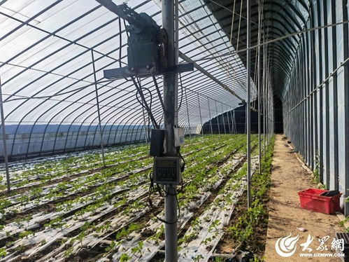 从 会种地 到 慧种地 潍坊一座家庭农场的转型之路