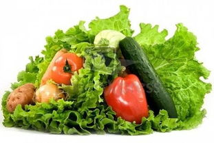 合作社 家庭农场 农业公司到底有啥区别