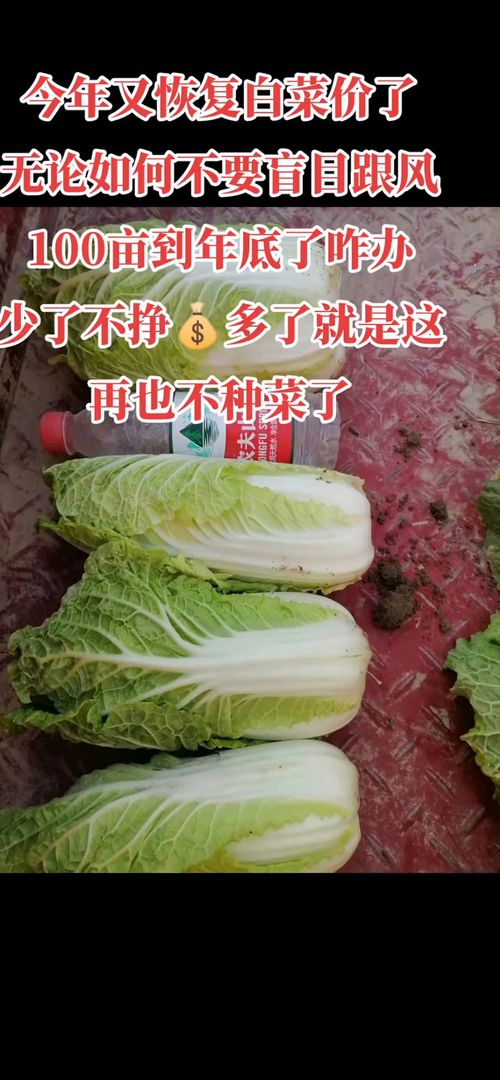 再也不种菜了, 农业种植 家庭农场 园林绿化 田园生活