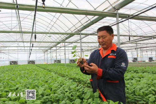 全国表彰 孝感1人上榜