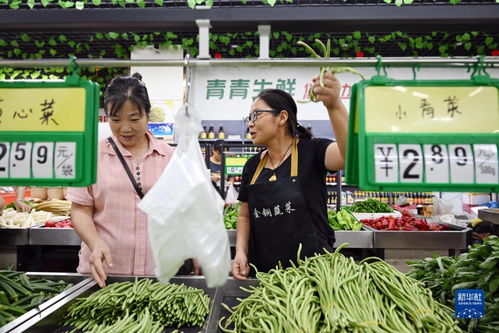安徽枞阳 女大学生回乡创业带动村民就业增收