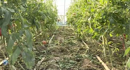 【改革创新看广饶】解锁乡村振兴试点示范经验!