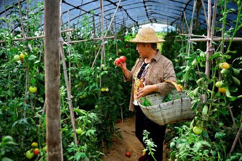 百事公司携手母亲水窖滋养绿色乡村 25年捐赠近8500万元