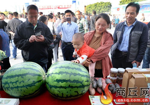 电商助农庆丰收 农产品展销会昨日开幕