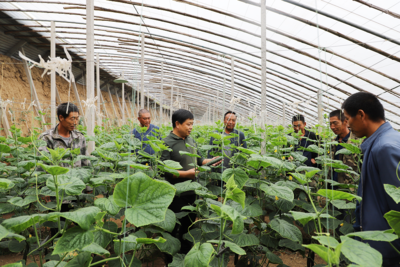 青岛胶州:乡村"小夜校"书写振兴"大文章"