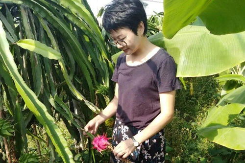 快来看 定海有4人获省级最美称号 她们都是谁