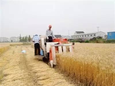 没地的农民就没补贴了 不是,国家给了三项补贴可以领取