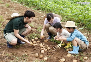 农村这4种赚钱新门路,现在入手还来得及,干好一个都比打工强