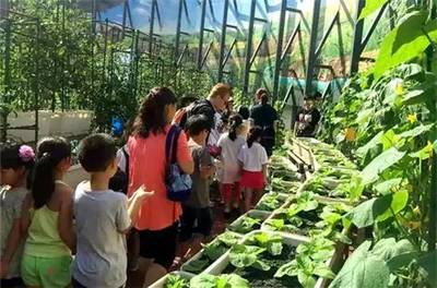 偷菜已成过去式，常熟周边竟藏着一座美到上天的“开心农场”